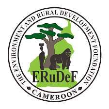 ERUDEF