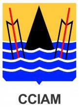 Logo ESI Congo