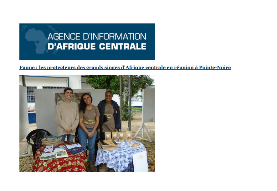 Agence d'information d'Afrique centrale, Dépêches Brazza Alliance GSAC