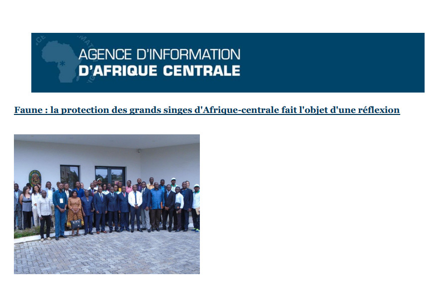 Agence d'information d'Afrique centrale, Dépeches Brazza Ouverture atelier AGSAC